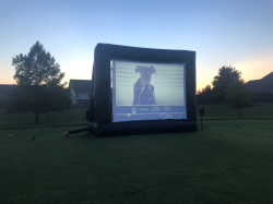 25' Movie Screen