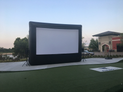 20' Movie Screen