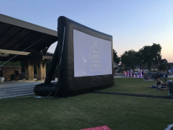 20' Movie Screen
